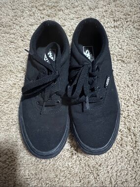 Vans All-Black Low Top Canvas Sneakers